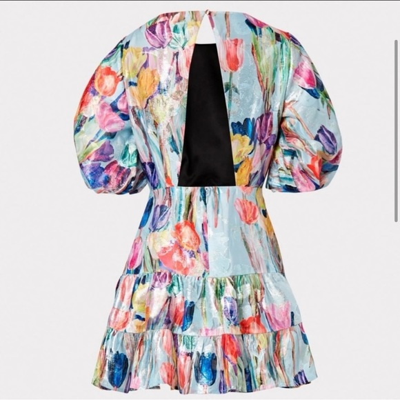 NWT Milly Arlette Tulip Dress - Picture 3 of 6